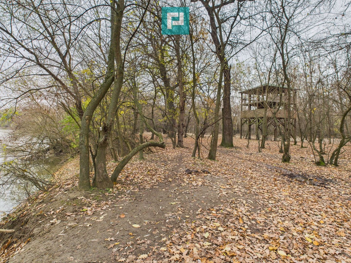 Teren spectaculos la  Periam Port - Poză 22