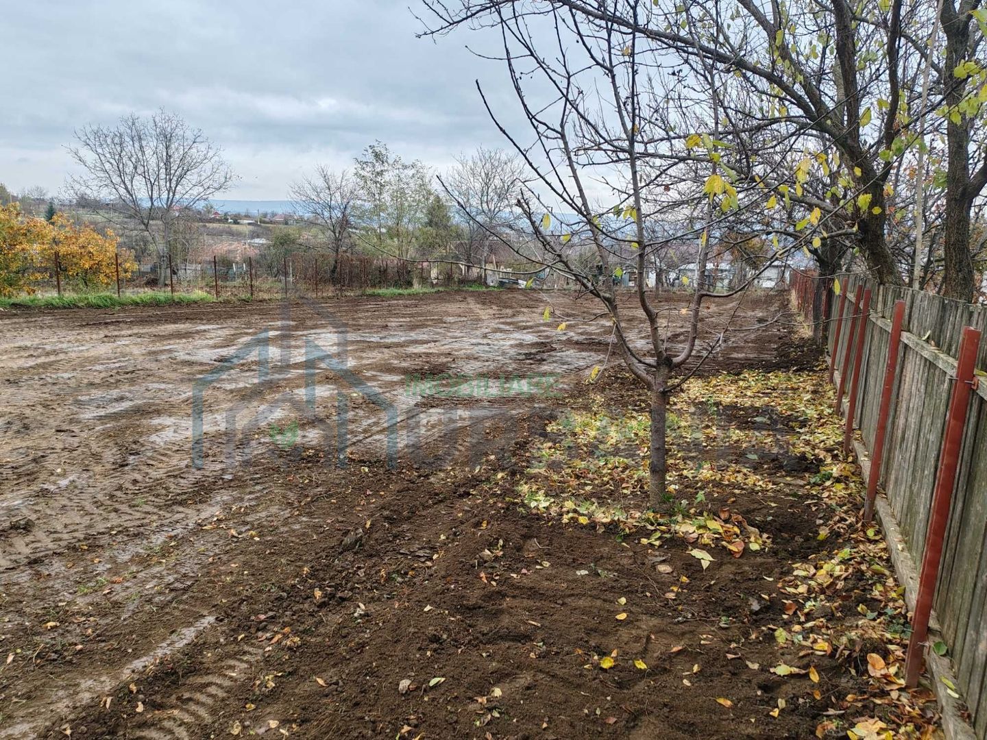 Teren intravilan 1021mp Ciurbesti - Poză 3