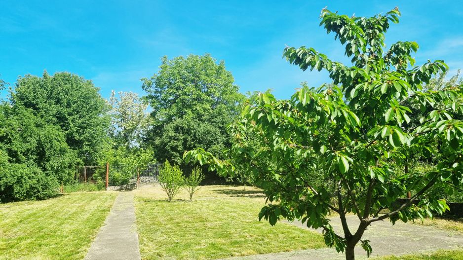 Casă / Vilă cu 5 camere de vânzare Alexandriei/Ion Conea - Poză 9