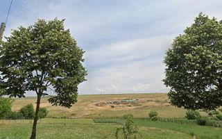 BOGDANESTI , TEREN INTRAVILAN 4864 MP - Poză 1