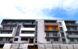 Nicolae Teclu-Metrou, Parcare Gratuit, Dezvoltator