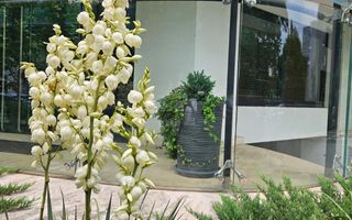 Showroom / Spațiu 145 mp, fațadă sticlă | Ultracentral – Unirii - Poză 5