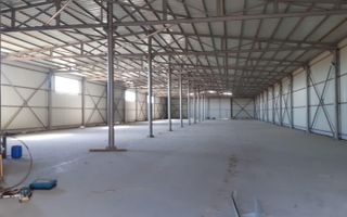 Hala 1.533 mp cu teren 5.000 mp – Vanatori, zona Maylo - Poză 5