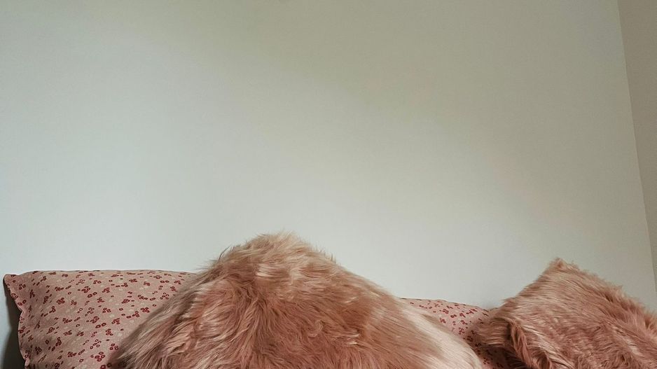 Medicina  | 2 Camere | Renovat Recent. - Poză 5