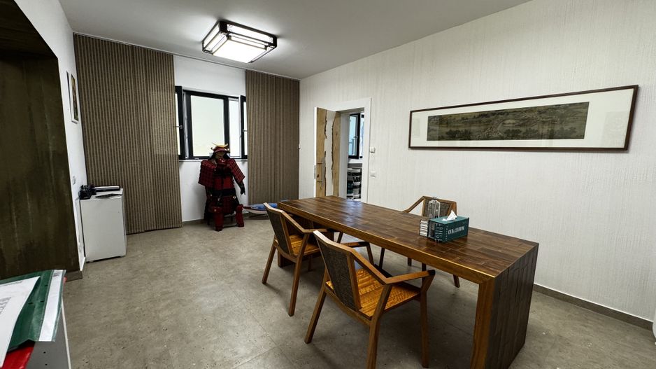 Vila 3 apartamente / 9 camere  Piata Unriii - Parcul Carol IM603 - Poză 3