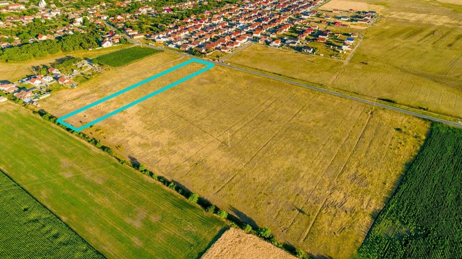 Teren de 1.3ha situat în Livada - Poză 2