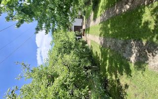 Casă de vânzare în Valea Lupului – poziție excelentă, grădină și potențial comercial - Poză 3