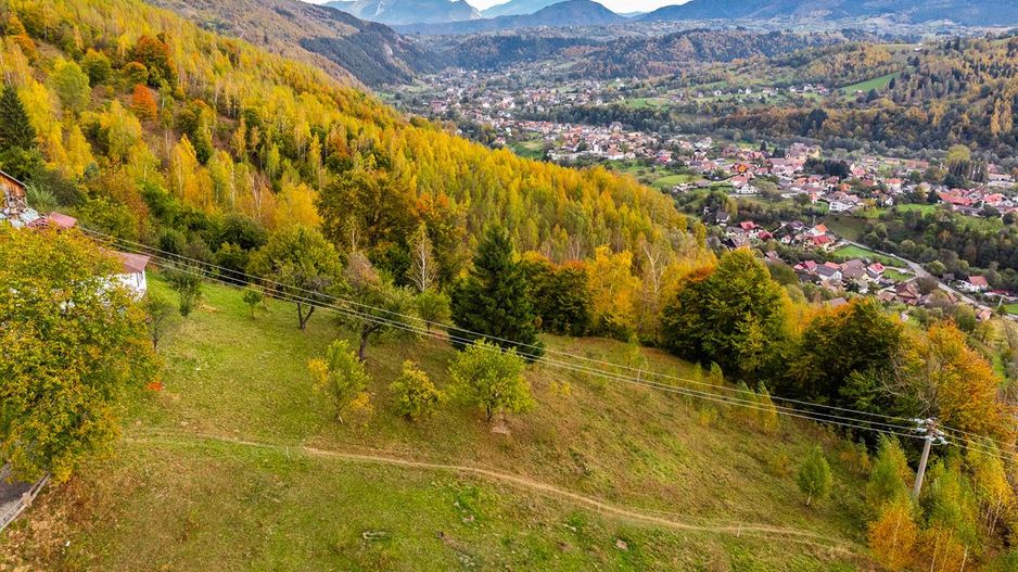In arena Parcului Natural Piatra Craiului, Magura, Moieciu, Brasov - Poză 9