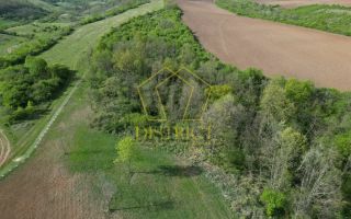 Casa de vacanta cu teren si padure de 3.8ha | Nadas | Herneacova - Poză 9