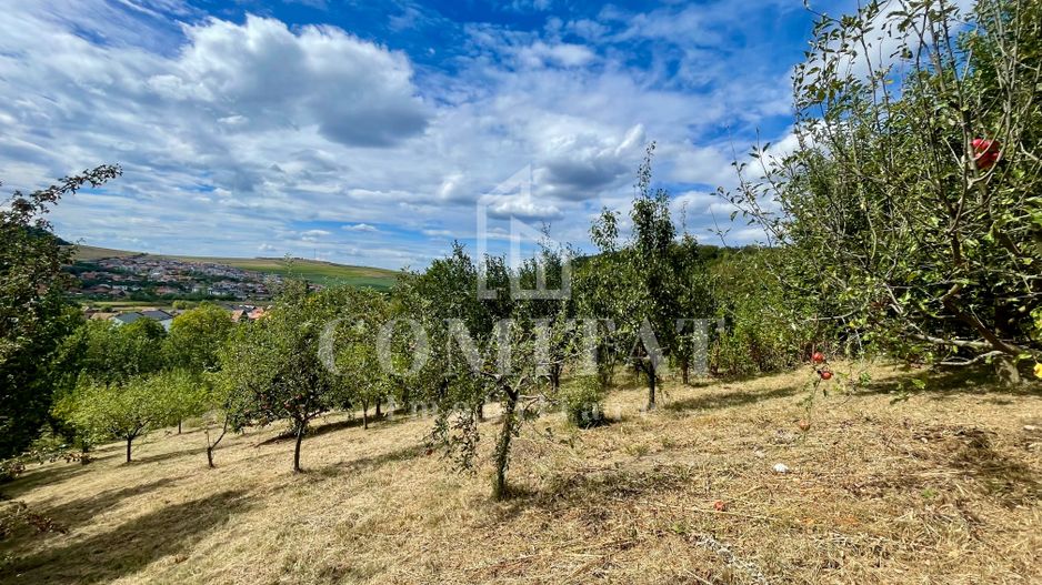 Casă + 1 apartament separat pe teren de 1.949 mp  cu panoramă Chinteni - Poză 30