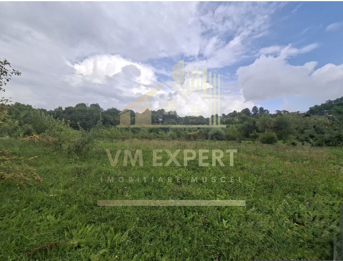 TEREN 20.621 MP CAMPULUNG - Poză 1