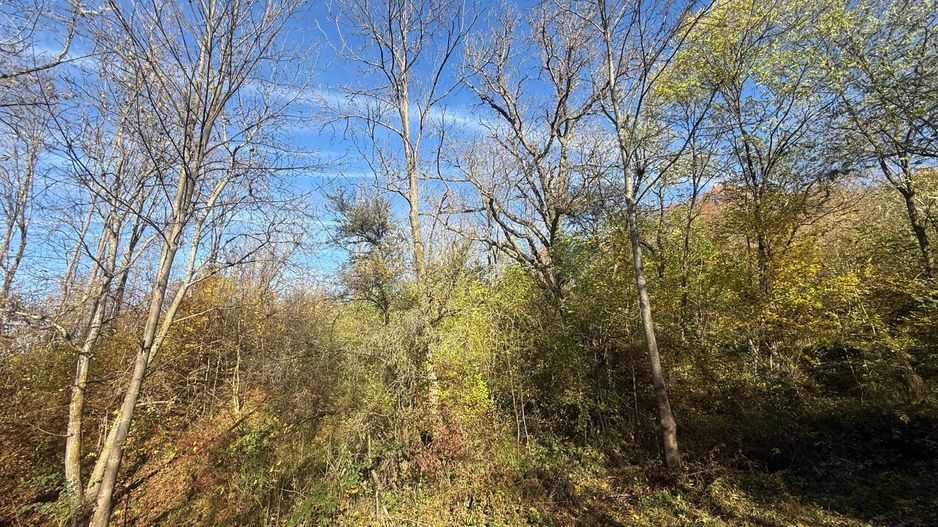 Teren langa pădure 6400mp+casa demolabila-deschidere 35 ml - Poză 11