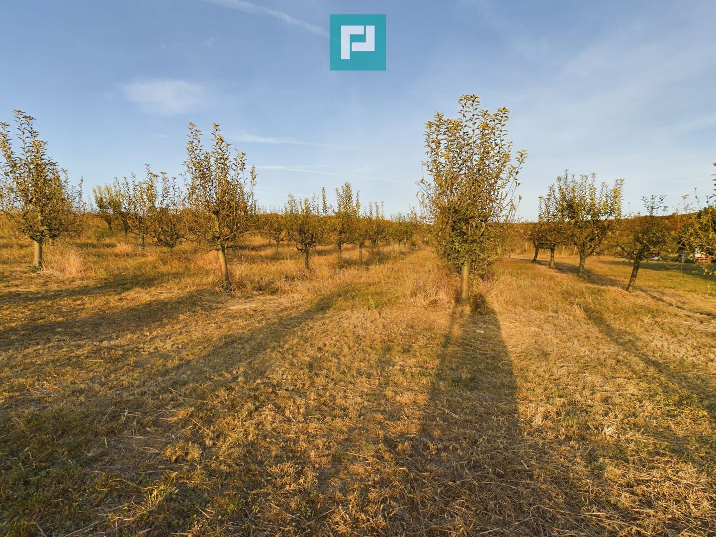 Spațiu comercial - Crama Pivnițele Birăuaș - Poză 33