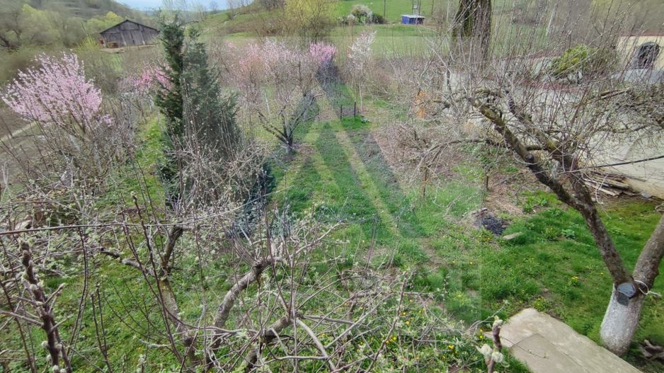 Casa 4 camere 2 bai garaj inchis pivnita si teren 740 mp in Seica Mica - Poză 14