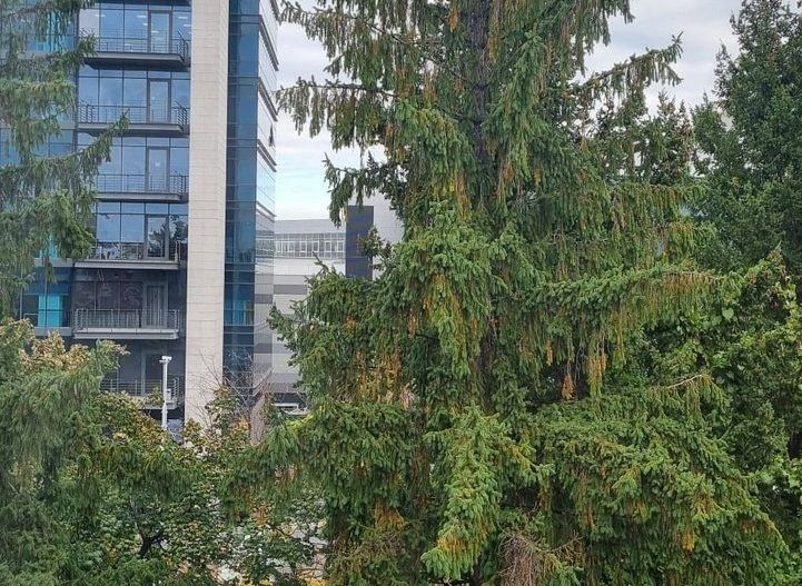 Construcție unică, rezistentă și sigură –  3 camere lângă AFI Cotroceni - Poză 18