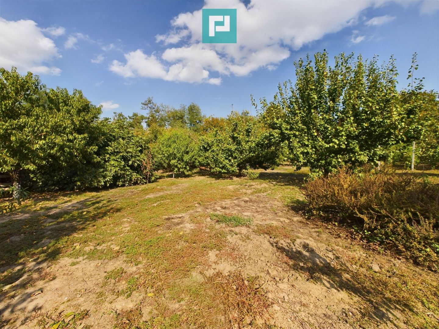 Casă cu teren 2877 mp, orașul Ineu - Poză 7