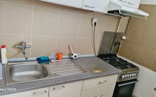 Apartament cu 1 camera (Garsoniera) Pet Frendly-Aleea Carpati - Poză 3