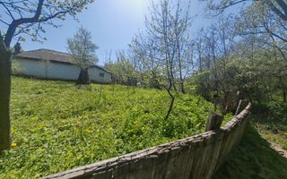 Casa batraneasca in Crihan/Magura | de vanzare - Poză 5