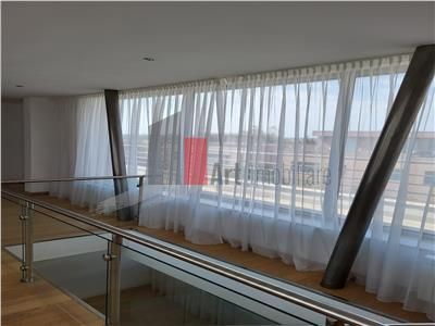 Inchiriere  Vila  Erou  Iancu de Nicolaie - Jolie Ville - Poză 42