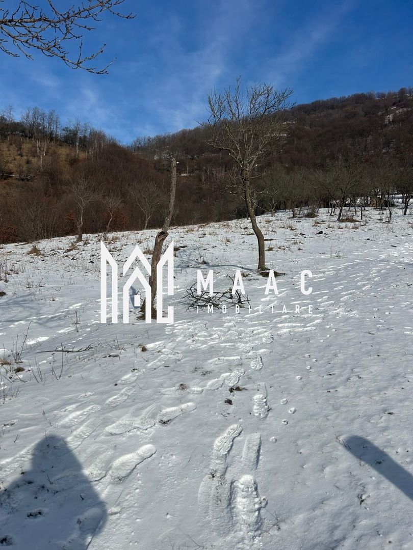 Teren de vânzare, 7750 mp I Orientare sudică I Caineni - Poză 1