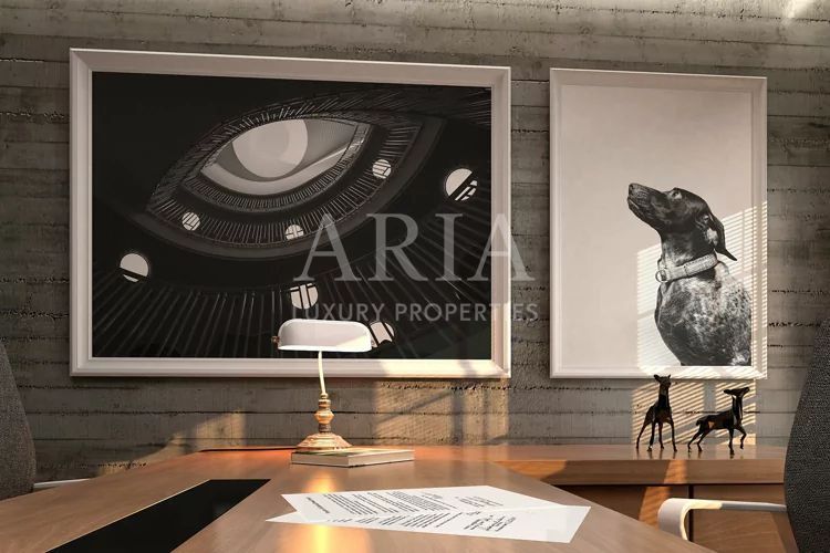 Vila elegantă de închiriat – ideală pentru sediu de firmă, birouri - Poză 2