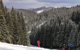 Pensiune 10 camere in statiunea Muntele Baisorii - Poză 5