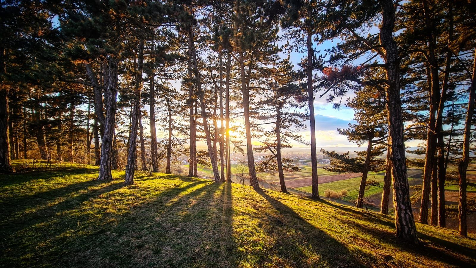 Exclusivitate - Sanpetru, casa cu priveliște deosebită - Poză 27