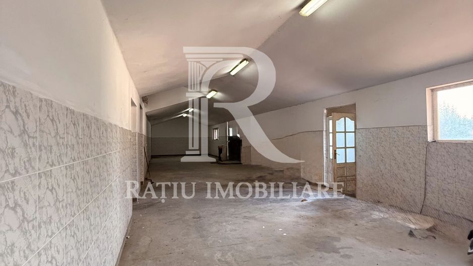 Casă cu Hală Industrială | Teren 3.200 mp | Ineu | Bihor - Poză 24