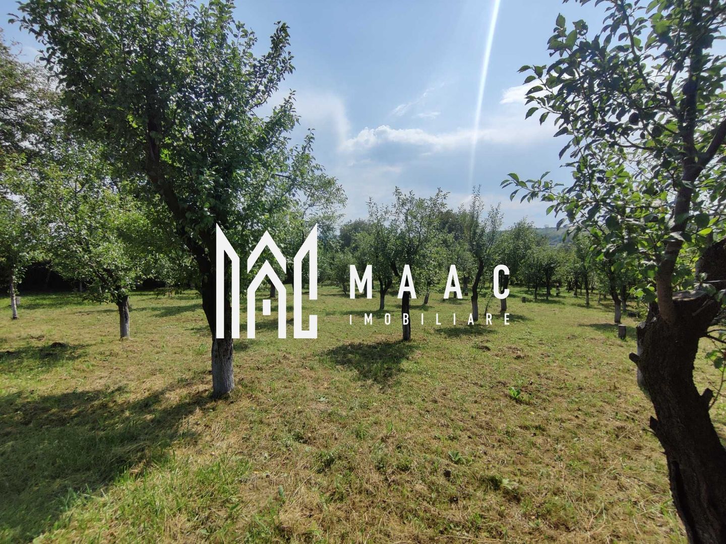 Casa 3 Camere | Teren 2500 mp | Rusi - Poză 5