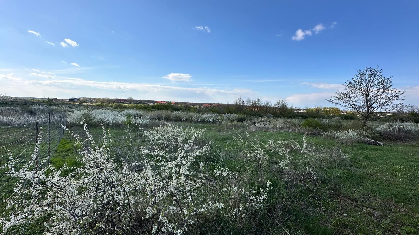 Mogosoaia, teren 792 mp, vedere la lac, utilitati, STB la 750 m (R470) - Poză 3