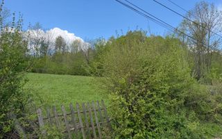 Teren Intravilan  – Provița de Jos | 1.939 mp | Curent electric - Poză 3