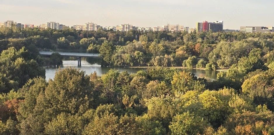 Apartament parcul Tineretului - Poză 18