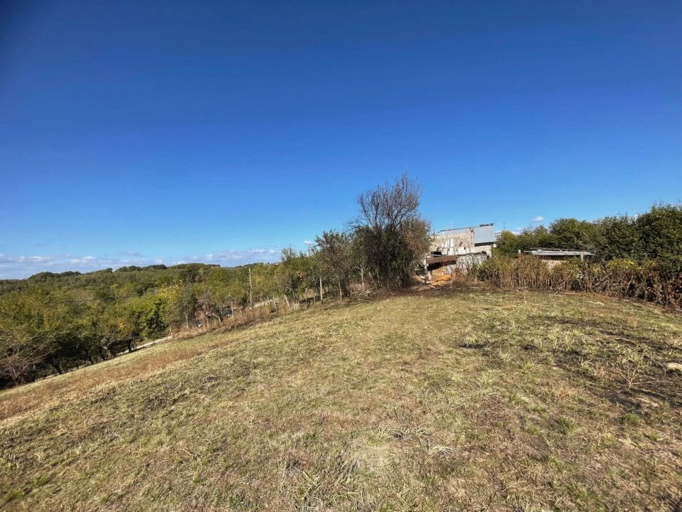 Teren Babana 5000mp intravilan - Poză 6