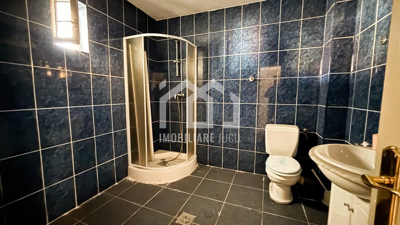 COMISION 0% Casă cu hală auto și piscină pe DN1C - Potențial comercial - Poză 10