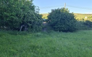 Teren de vanzare in Martinesti - Poză 3