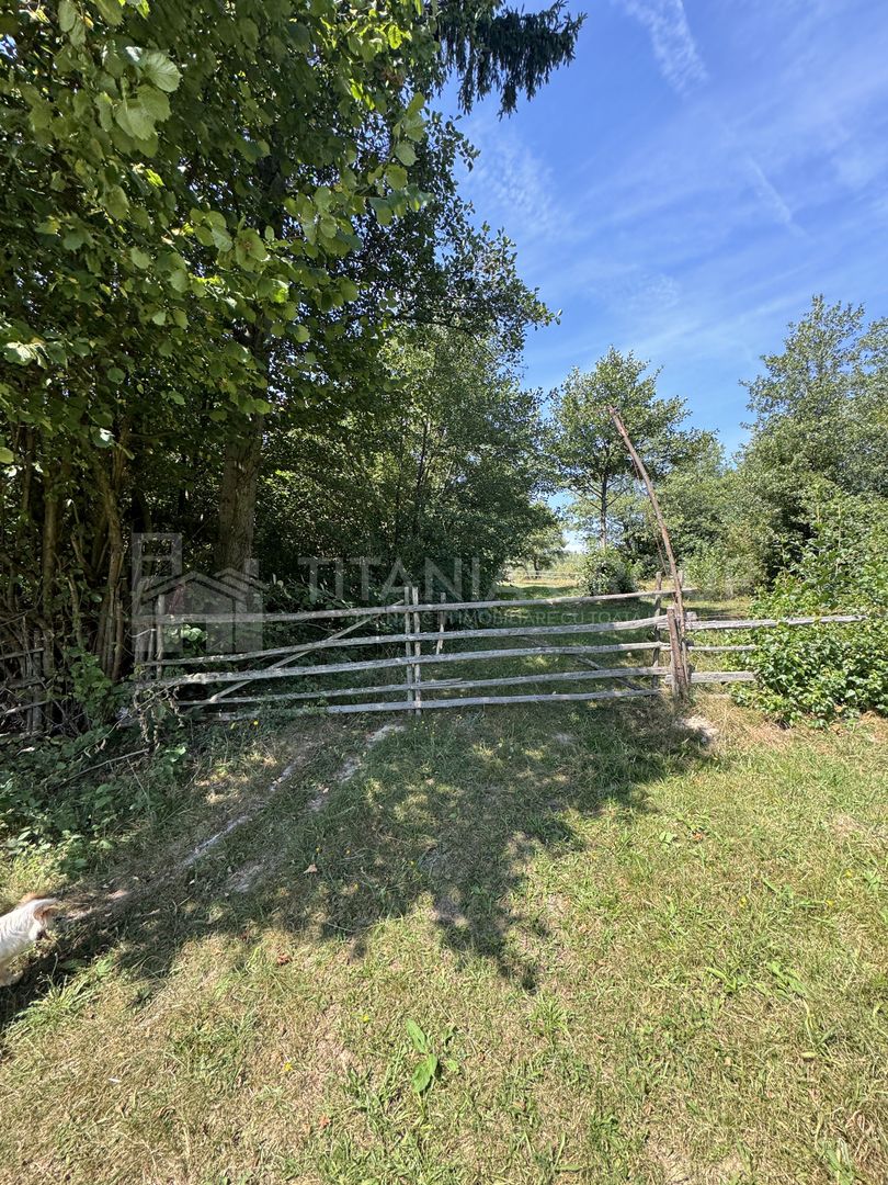 Platou montan, 6631 mp intravilan, electricitate,  langa pădure - Poză 5