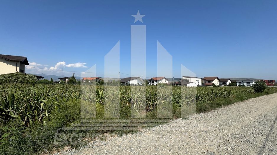 Teren intravilan de vanzare, Micesti - Poză 2