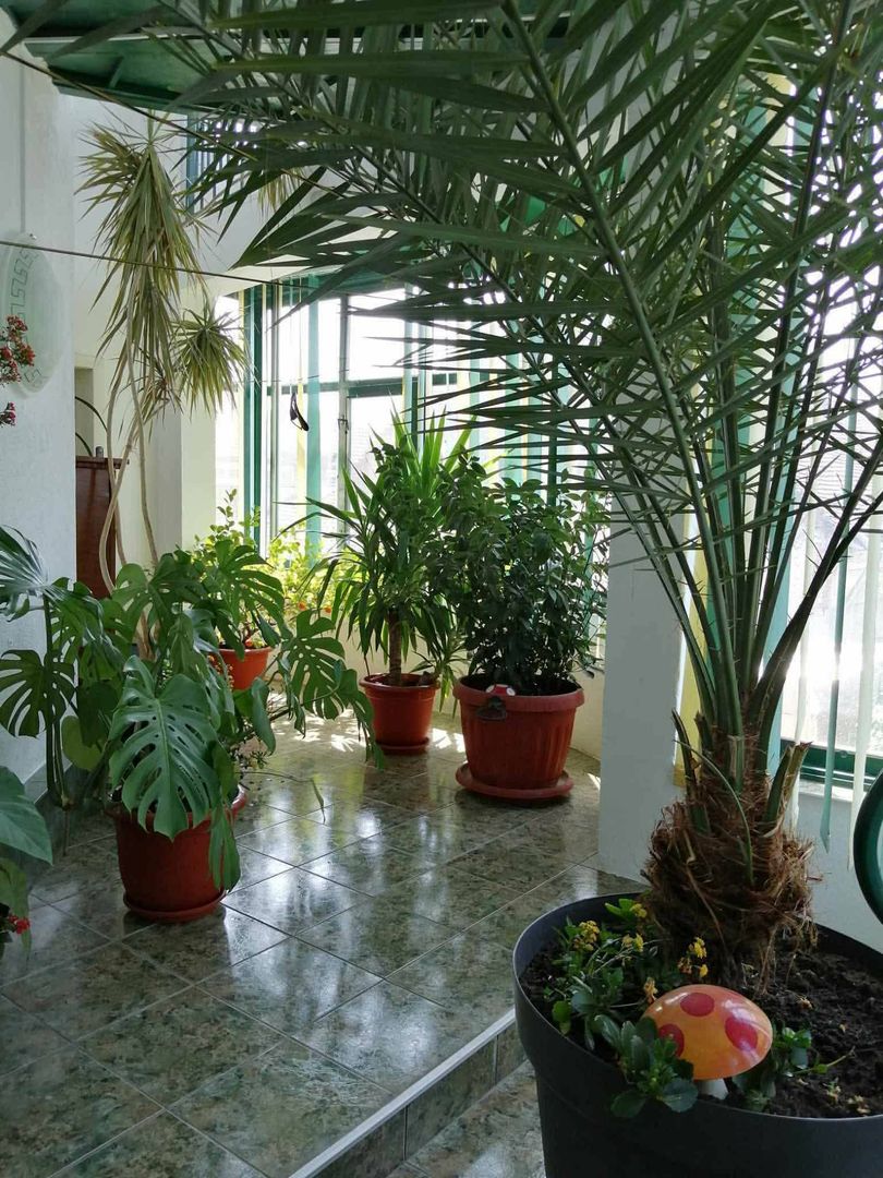 vand casa zona centrala - Poză 2