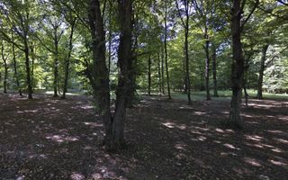 Teren de 500 mp, la marginea Pădurii Snagov - Poză 4