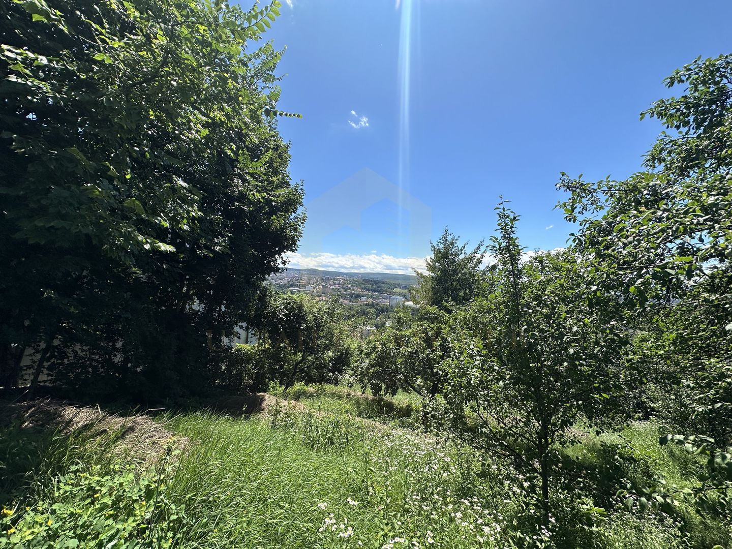 Vanzare teren 2387 mp, front 17,3 ml, Serpuitoare , Gruia - Poză 5