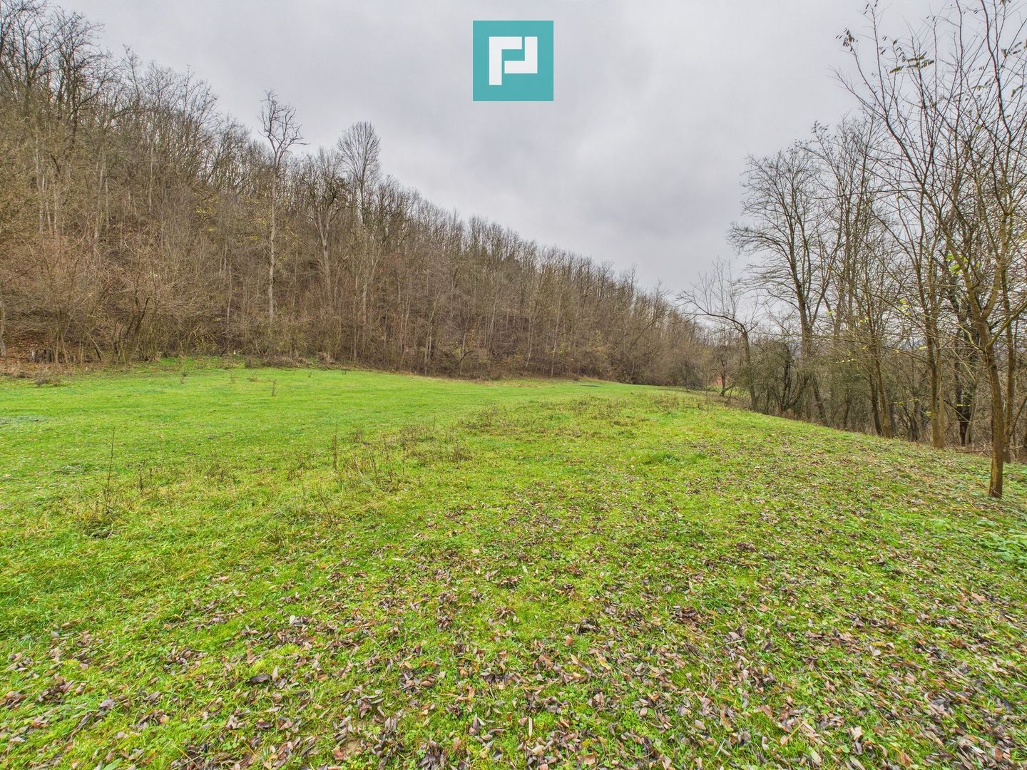 Casă cu teren de 24.679,73 mp, în Hălmagiu, Arad - Poză 31