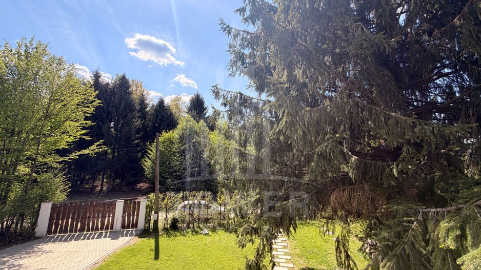 Casă de vacanță noua-Valea Avrigului - Poză 27