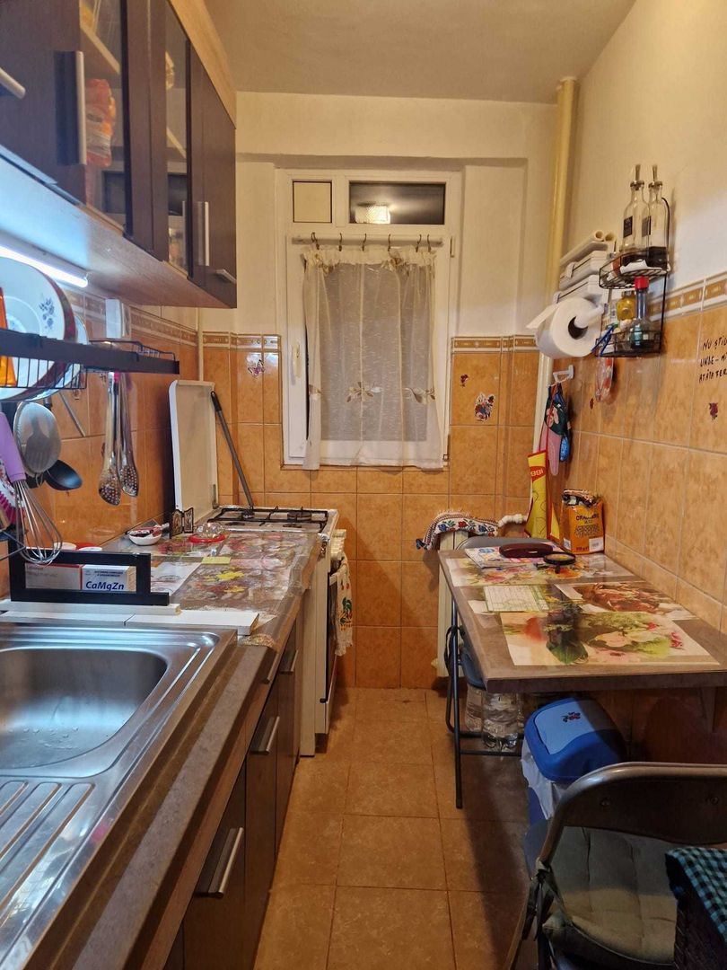 Apartament Moisil // Tei - Poză 3