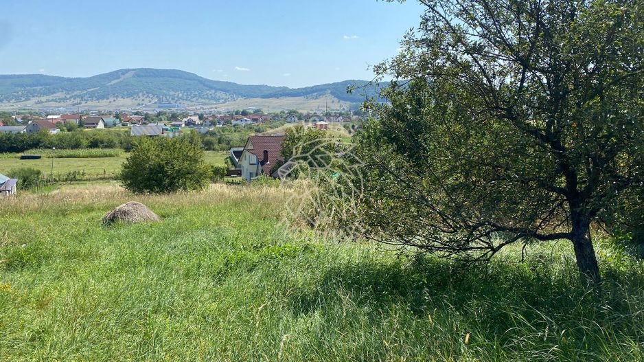 Teren intravilan 1300 mp-parcelabil-Viile cu Pomi-Unirea-Exclusiv - Poză 5