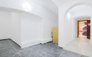 Sub mantia arhitecturala istorica a Cetatii Timisoarei, Spatiu comercial - Poză 30