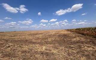 Teren intravilan de vanzare in Pielesti - Poză 5