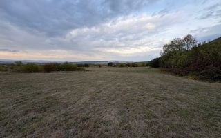 Teren de vânzare 5.000 mp | Poplaca | lângă pădure - Poză 6