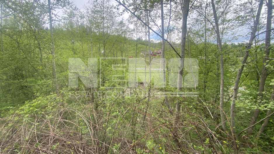 Teren Intravilan | Câmpulung Moldovenesc | 31ARI - Poză 9