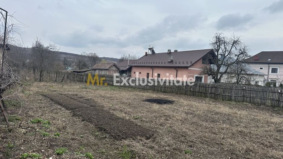 Teren intravilan 1 304 mp - Calinesti- Gorganu-Arges! - Poză 1