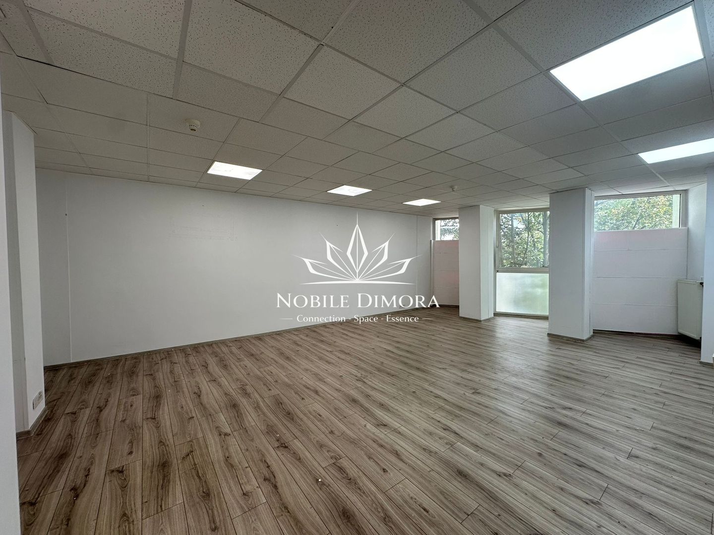 SAD de 20-60mp - Spatii de birouri - Comercial - Central - Piata 700 / Unirii - Poză 6